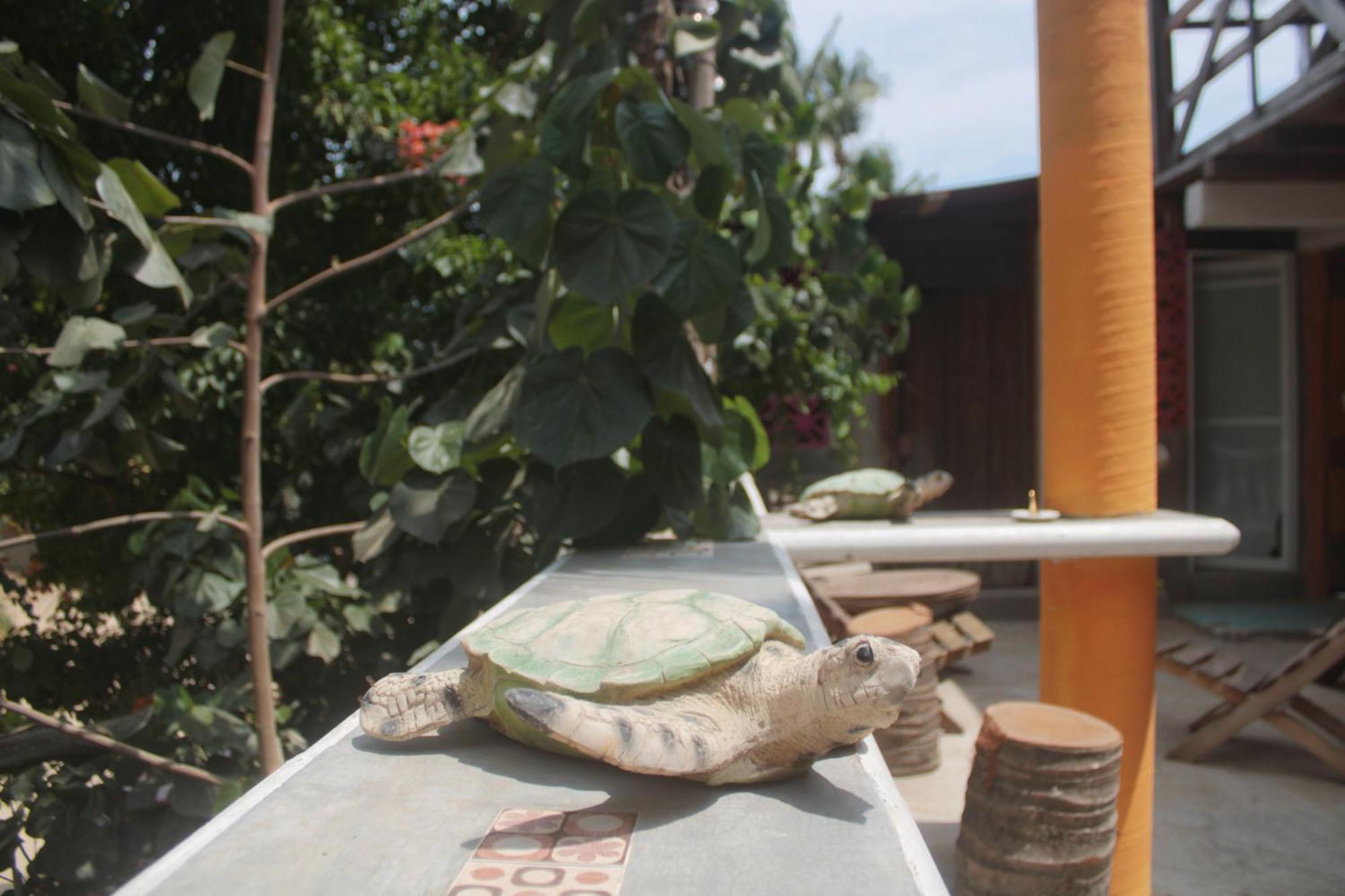 Wajakita Hostel Experience Zipolite Exterior photo